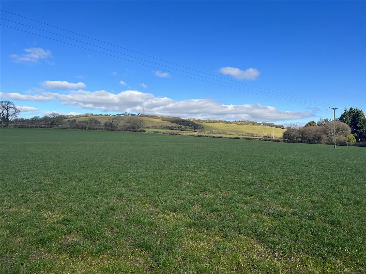 By Auction Approx. 28 acres at Sarnau Fields, Bancyfelin, Llysonnen